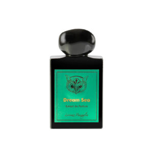 Perfume rectangular negro, etiqueta verde en frontal y palabra Dream Sea de color amarillo.