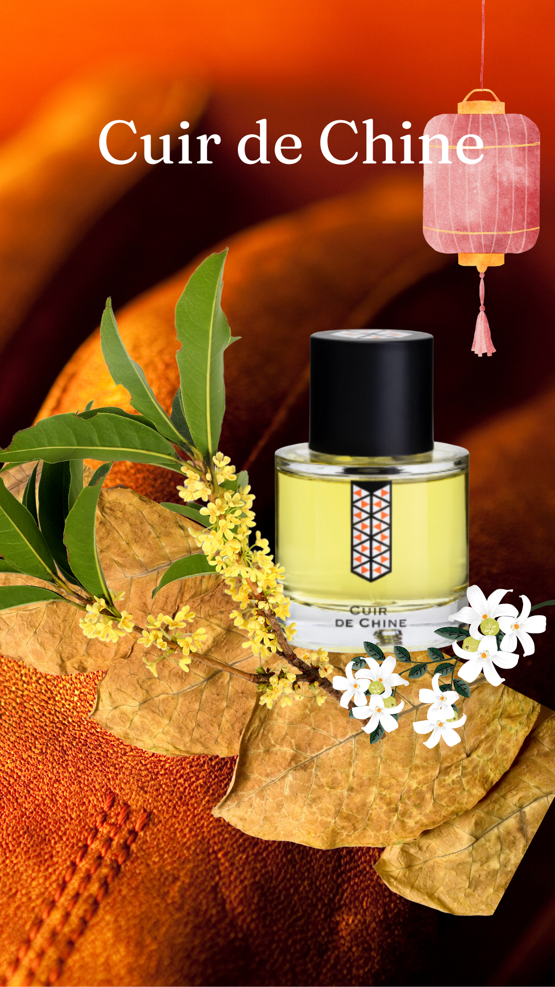 LES INDEMODABLES Cuir de Chine | 7Sense Parfums El Salvador