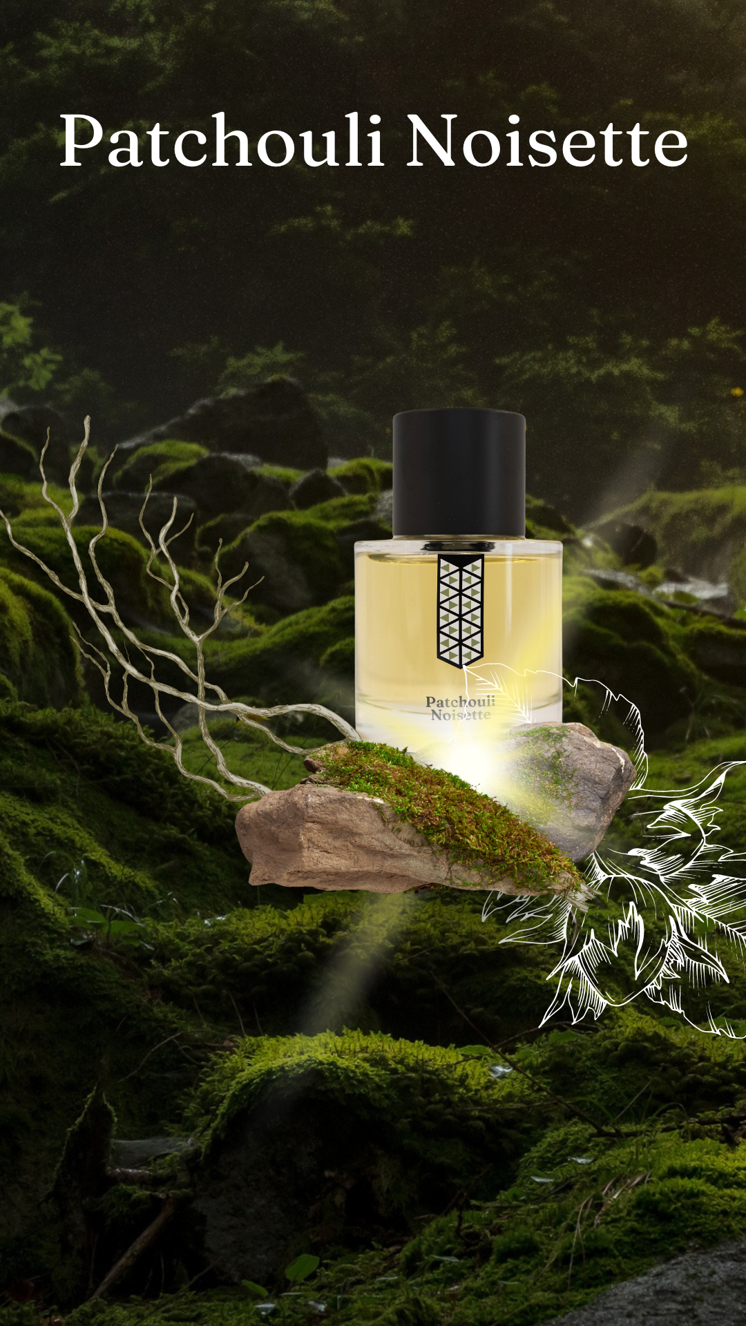 LES INDEMODABLES Patchouli Noisette – 10 copie | 7Sense Parfums El Salvador