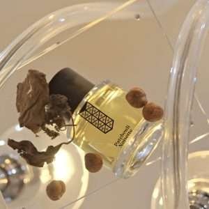 Patchouli Noisette mood 3 | 7Sense Parfums El Salvador