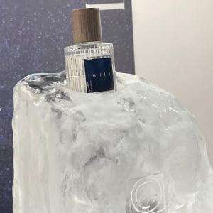 fit.102263 | 7Sense Parfums El Salvador