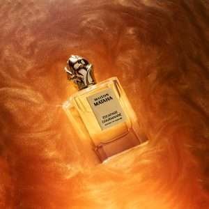 9 | 7Sense Parfums El Salvador