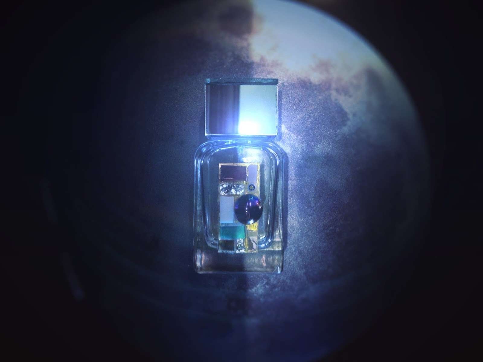 nettuno2 | 7Sense Parfums El Salvador