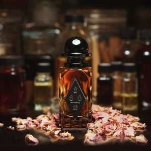 o.137871 | 7Sense Parfums El Salvador