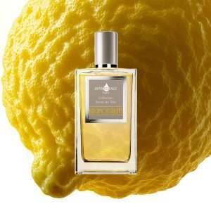 Copie de BergamoteRacine | 7Sense Parfums El Salvador