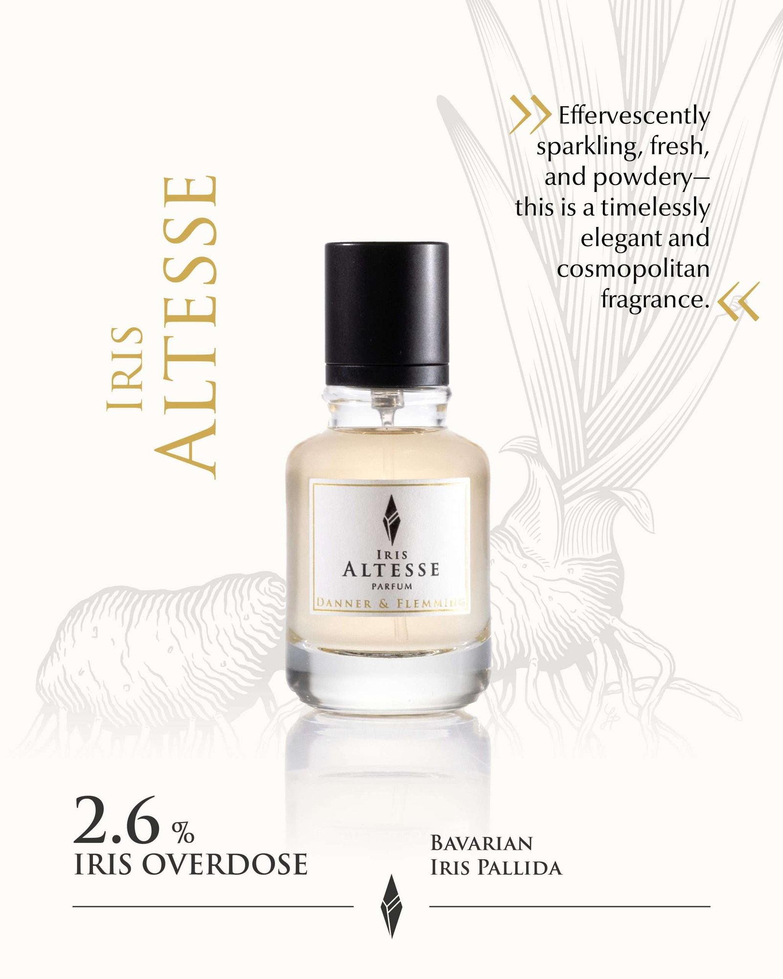 Altesse | 7Sense Parfums El Salvador