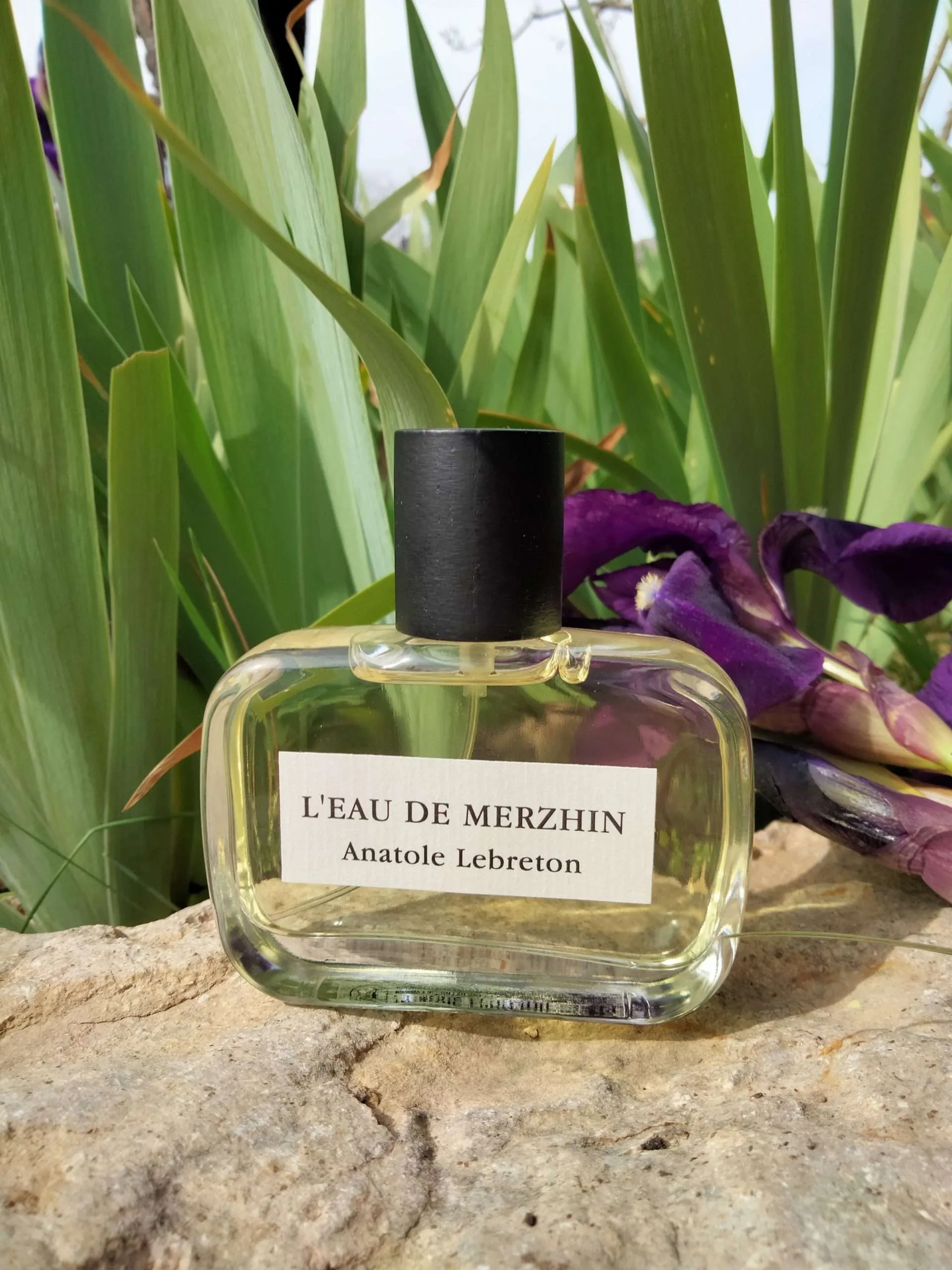 L'Eau de Merzhin - Imagen 2