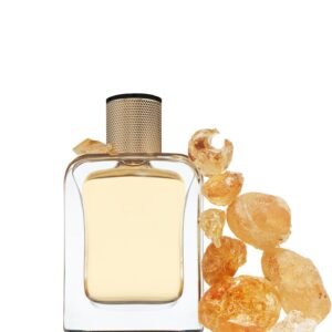 Eau de la Nuit de Veronique Gabai, booster de ámbar y maderas, frasco con resinas doradas