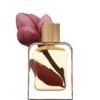 Ready for Rosé de Veronique Gabai, perfume floral de verano con magnolia